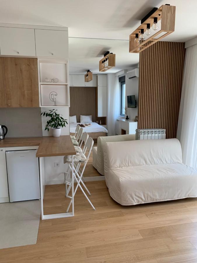 Selena Apartment 贝尔格莱德 外观 照片