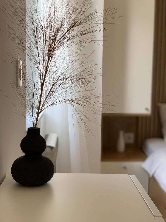 Selena Apartment 贝尔格莱德 外观 照片